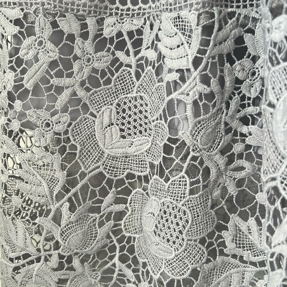 Lace Midi Dress, Self-Portrait-esque, Event Dress. US S, Grey - Picture 6 of 12
